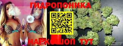 дмт Лесосибирск