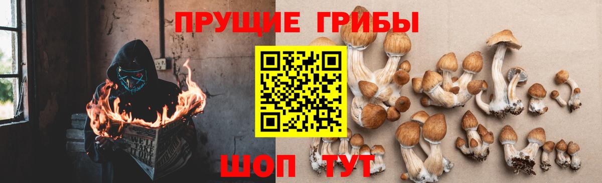 Щёлково  Галлюциногенные грибы Magic Shrooms  Вход с VPN 